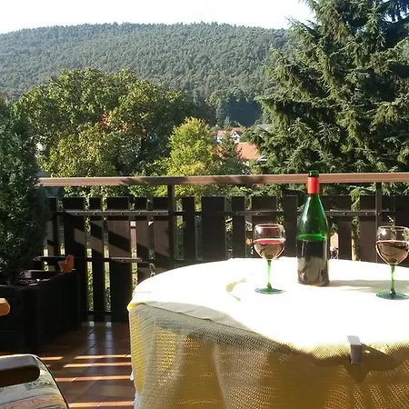 Haus Dorfblick شقة