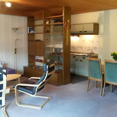 Haus Dorfblick شقة